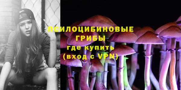 PSILOCYBIN Каменногорск