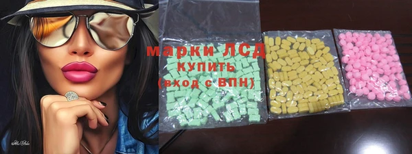 ГАЛЛЮЦИНОГЕННЫЕ ГРИБЫ Каменка