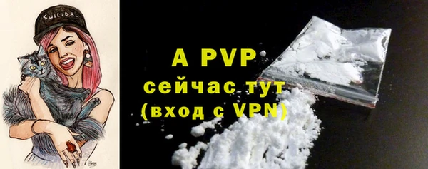 PSILOCYBIN Каменногорск