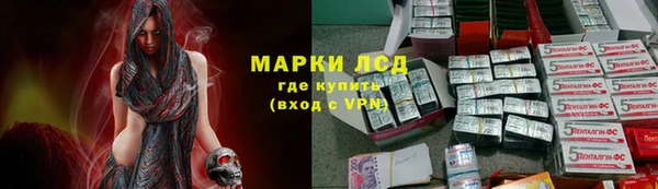 PSILOCYBIN Каменногорск