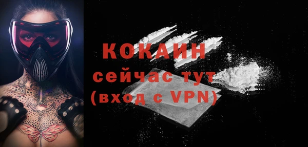 ГАЛЛЮЦИНОГЕННЫЕ ГРИБЫ Каменка