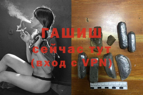 PSILOCYBIN Каменногорск