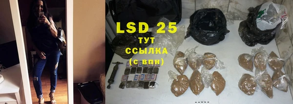 ГАЛЛЮЦИНОГЕННЫЕ ГРИБЫ Каменка