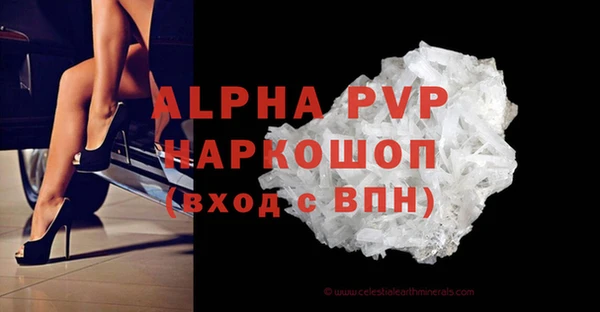 PSILOCYBIN Каменногорск