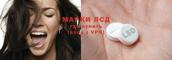 ГАЛЛЮЦИНОГЕННЫЕ ГРИБЫ Каменка