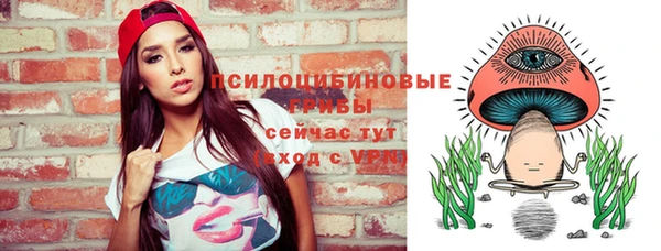ГАЛЛЮЦИНОГЕННЫЕ ГРИБЫ Каменка