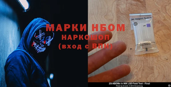 ГАЛЛЮЦИНОГЕННЫЕ ГРИБЫ Каменка