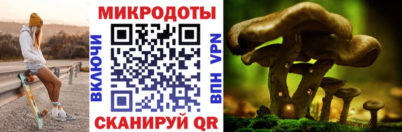 Псилоцибиновые грибы прущие грибы  Купить  Минусинск 